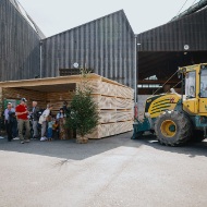 tag-des-schweizer-holzes-besucher-holzlager-2025-blumer-lehmann