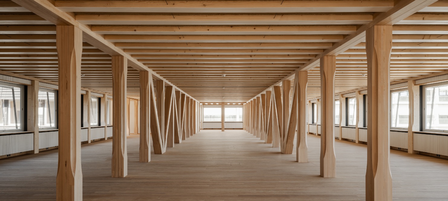 Offene Fläche mit Holztragwerk im HORTUS Bürogebäude in Basel.