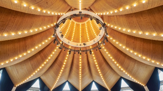 Underside of the curved, Free Form timber roof inside the magician’s hat