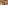 Detailaufnahme von Hackschnitzel