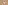 Detailansicht von Hackschnitzel<br/>