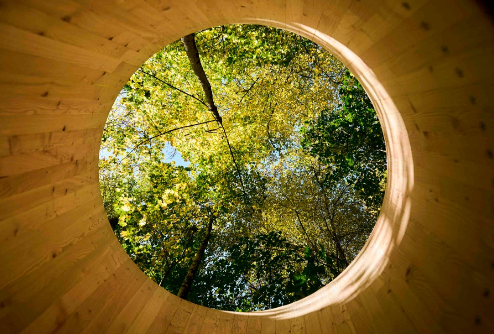 Aussicht aus dem Holzobjekt "Re-Framer" des Resilienzparcours Lifegarden in Zürich