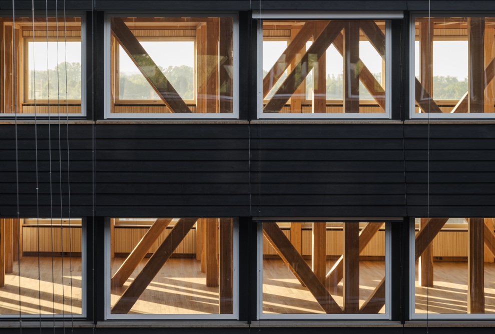 Façade de l’immeuble de bureaux HORTUS avec structure en bois visible à Bâle.