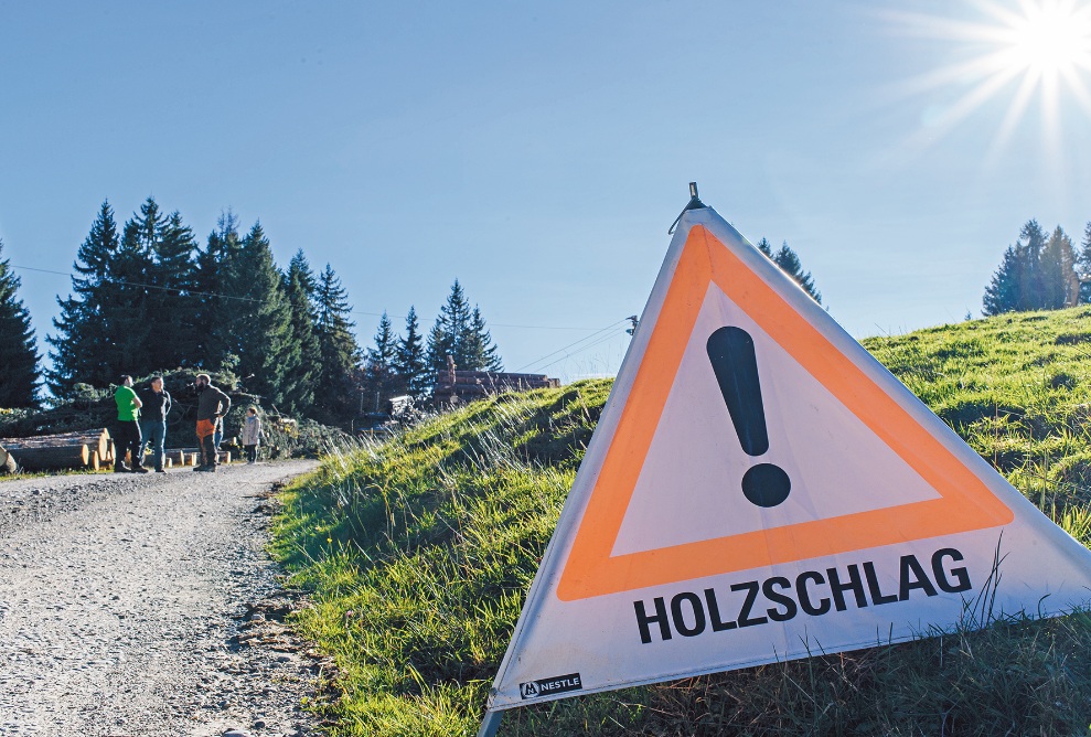 Achtung Holzschlag