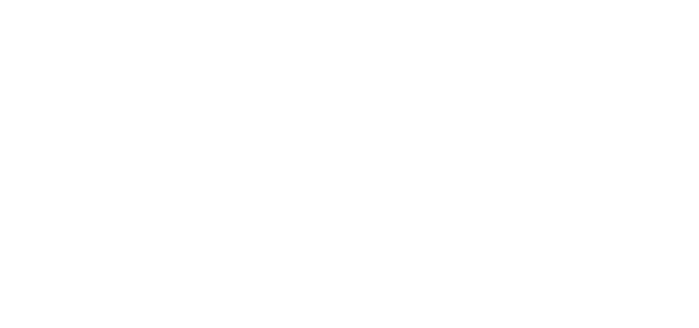 logo-blumer-lehmann-white